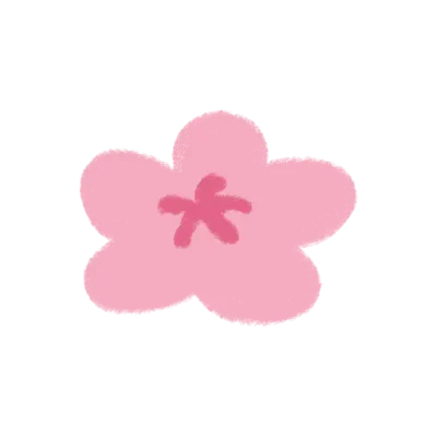 cherry blossom sakura