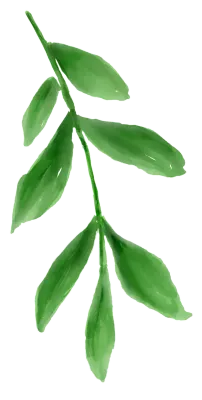 watercolor greenery foliage