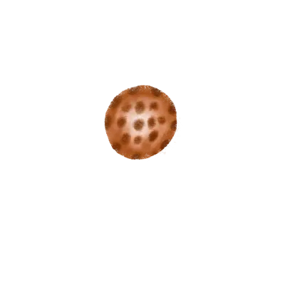 Cookie