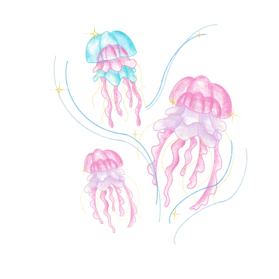 All Jellyfish