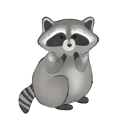 Cute raccoon