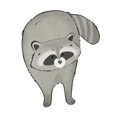 Cute raccoon