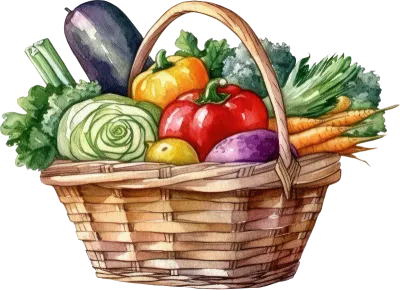 vegetable basket
