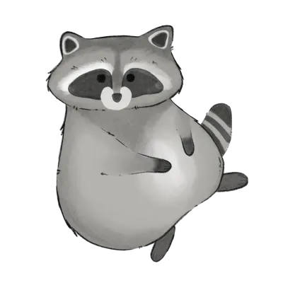 Cute raccoon