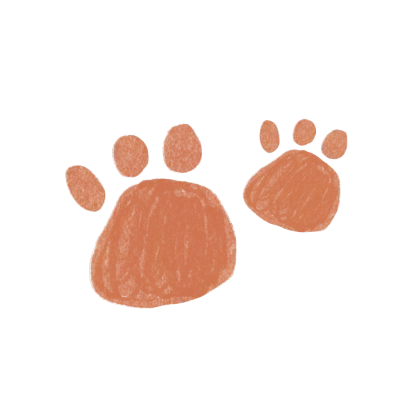 Bear footprint