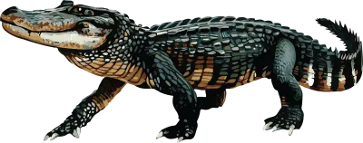 alligator animal background