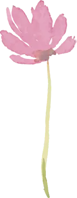 Watercolor flower illustration