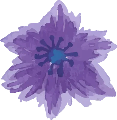 Watercolor flower illustration hand painting
