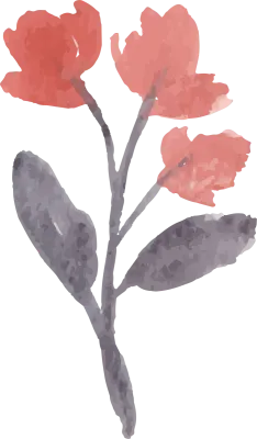 Watercolor flower hand painted