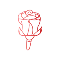rose red gradient illustration