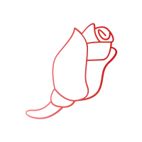 rose flower red gradient illustration