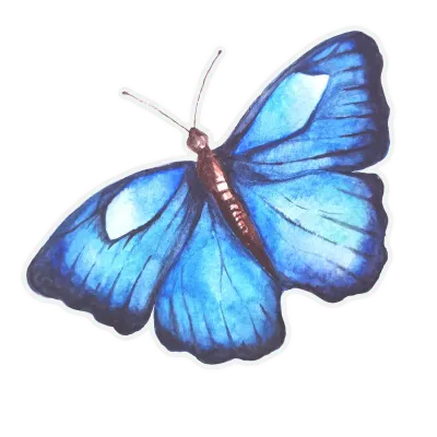 Blue watercolor butterfly