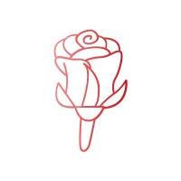 rose red gradient illustration