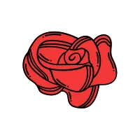 rose flower red color illustration