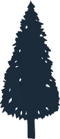 Adventure Forest Tree Flat Hand Drawn Illustration