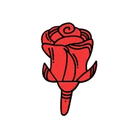 rose flower red color illustration