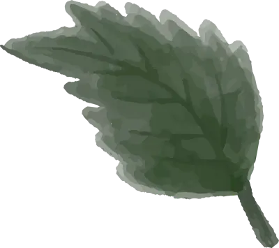 a sprig of green leaves watercolor