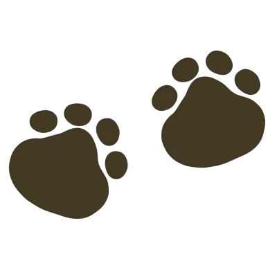 cat'paw
