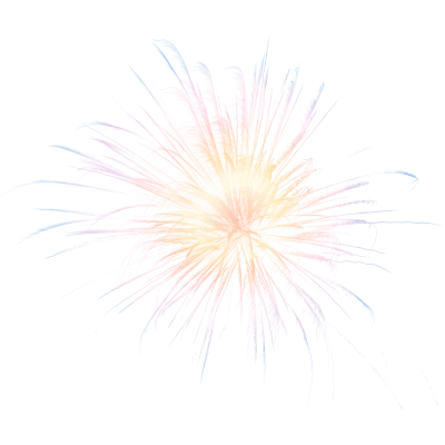 Firework sparkle starlight party celebration holiday new year anniversary burst explosion