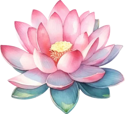 Lotus Flower Watercolor Illustration