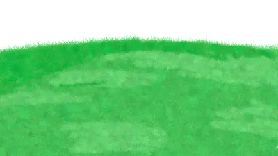 grass