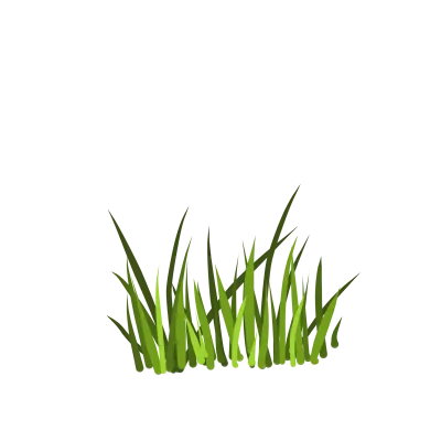 grass