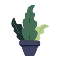 plant and flower