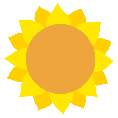 Sun flowers 