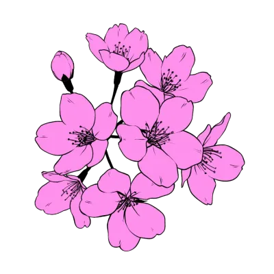 벚꽃