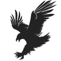 Silhouette of birds