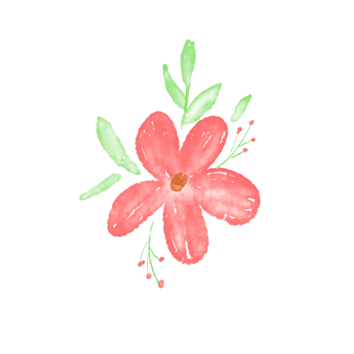 vector hand drawn floral decorative elements