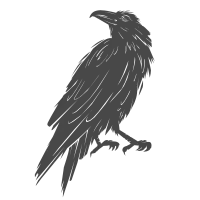 Silhouette of birds