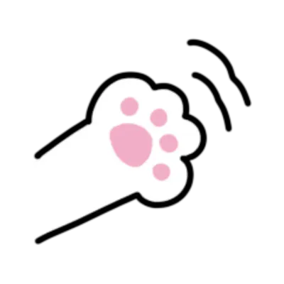 cat paws
