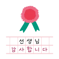 카네이션, 스승의날, 선생님 감사합니다