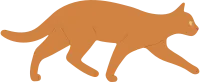 Cat 19