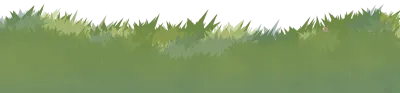 Grass