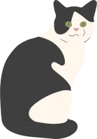 Cat 81