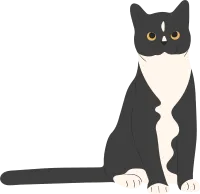 Cat 25