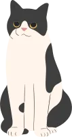 Cat 96