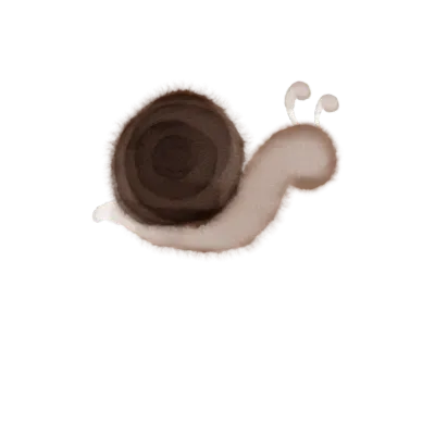 snail