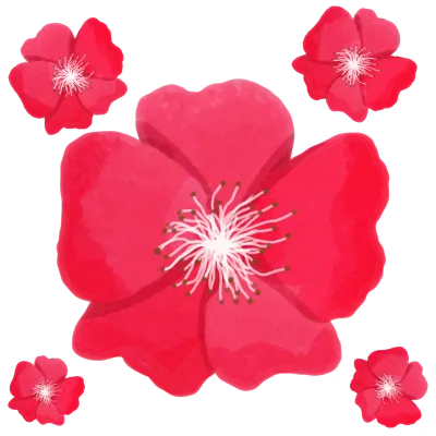 red flower