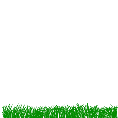 no grass background
