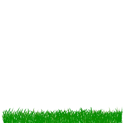 no grass background