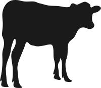 cow silhouettes