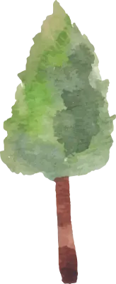Watercolor tree painting illustration