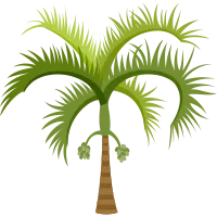 Palm Tree Illustration