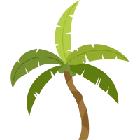 Palm Tree Illustration
