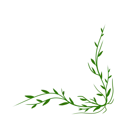 no grass background