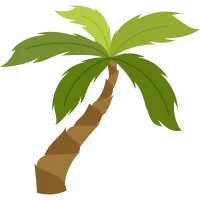 Palm Tree Illustration