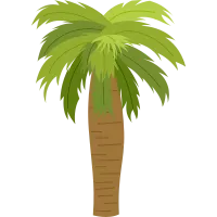 Palm Tree Illustration